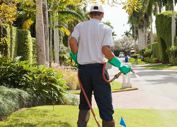 About Chewsville MD Pest Control